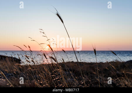 Sonnenuntergang, Nissiopi Petrified Forest Park, UNESCO-Geopark, Lesbos Stockfoto