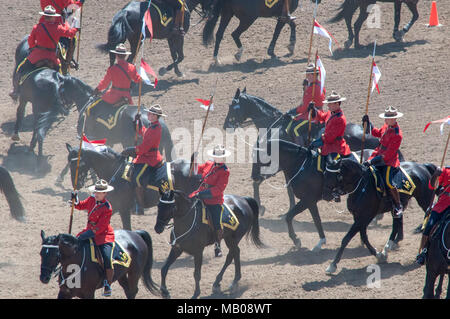 Die Royal Canadian Mounted Police (RCMP) Die musikalische Fahrt bei der Calgary Stampede, Calgary, Alberta. Die Fahrt präsentiert die equistrian Fähigkeiten Stockfoto