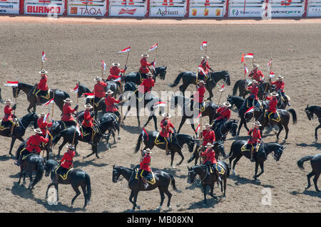 Die Royal Canadian Mounted Police (RCMP) Die musikalische Fahrt bei der Calgary Stampede, Calgary, Alberta. Die Fahrt präsentiert die equistrian Fähigkeiten Stockfoto