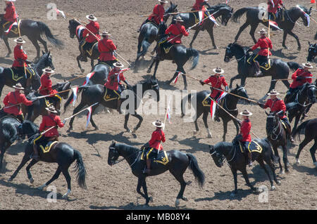 Die Royal Canadian Mounted Police (RCMP) Die musikalische Fahrt bei der Calgary Stampede, Calgary, Alberta. Die Fahrt präsentiert die equistrian Fähigkeiten Stockfoto