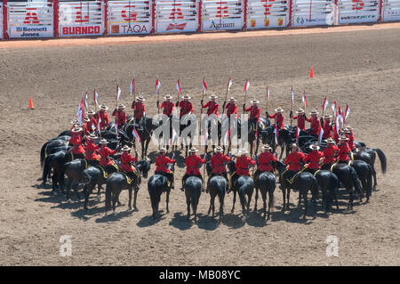 Die Royal Canadian Mounted Police (RCMP) Die musikalische Fahrt bei der Calgary Stampede, Calgary, Alberta. Die Fahrt präsentiert die equistrian Fähigkeiten Stockfoto