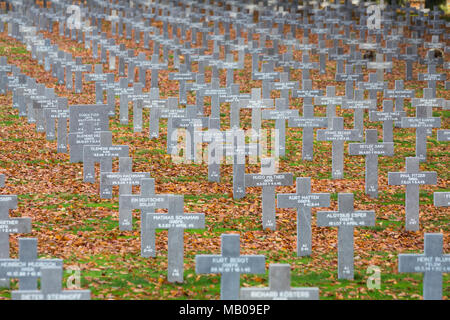 Grabsteine auf dem deutschen Soldatenfriedhof in Ysselsteyn, Niederlande Stockfoto