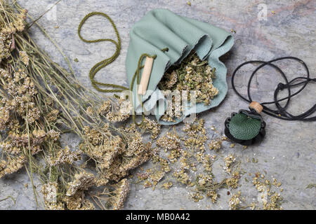 Schafgarbe im Medizinbeutel aus Leder, Lederbeutel, Beutel, Schafgarbe, Gewöhnliche Wiesen-Schafgarbe, Schafgabe, Achillea millefolium, Schafgarbe, Gemeinsame Stockfoto