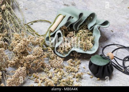 Schafgarbe im Medizinbeutel aus Leder, Lederbeutel, Beutel, Schafgarbe, Gewöhnliche Wiesen-Schafgarbe, Schafgabe, Achillea millefolium, Schafgarbe, Gemeinsame Stockfoto