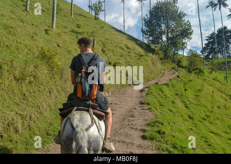 Bilder in Valle de Cocora, Salento, Kolumbien, Stockfoto