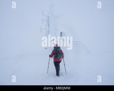 Eine Frau Walker, Winterwandern im Cairngorms Nationalpark in whiteout Bedingungen mit sehr schlechter Sicht Stockfoto