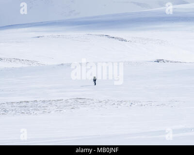 Ein einsamer Wanderer Kreuzung ein großes Schneefeld in die Cairngorm National Park, Schottland in der Nähe der Glenshee Ski Center Stockfoto