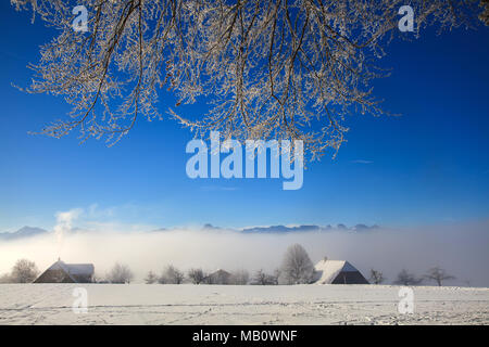 Ballenbühl, Bauernhaus, Berge, Emmental, Haus, Landschaften, Licht Stimmung, Nebel, Schnee, Schweiz, winter Stockfoto