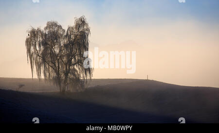 Ballenbühl, baum, bäume, Emmental, Europa, Landschaften, Nebel, Schweiz, winter Stockfoto