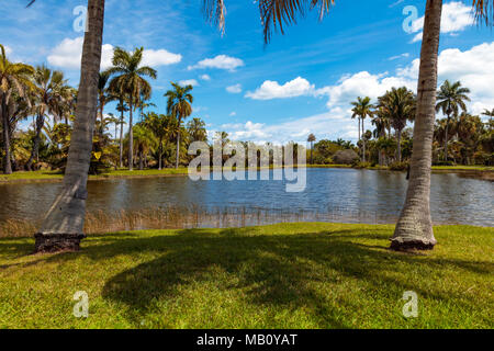 Wiese, Teich und Palmen in Fairchild Tropical Botanic Garden, Miami, Florida, USA Stockfoto