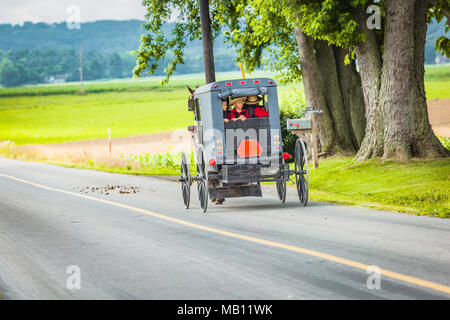 Gordonville, PA, USA - Juni 17, 2012: Junge Amish Kinder Blick aus dem hinteren Fenster eines Buggy auf einer ländlichen Straße im Sommer in Lancaster County, PA. Stockfoto