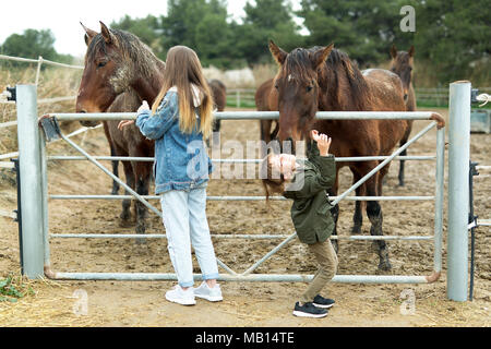 Pferd geben einen Kuss auf ein 10-jähriges Mädchen in einem Tierheim in Rojales, Provinz Alicante in Spanien. Stockfoto