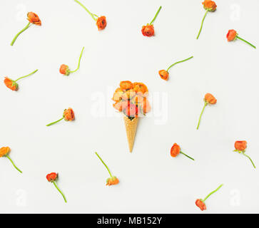 Flachbild-lay von Waffeln süß Kegel mit orange buttercup Blumen auf weißem Hintergrund, Ansicht von oben, horizontal Komposition. Im Frühling oder im Sommer zur Stimmung Konzept Stockfoto