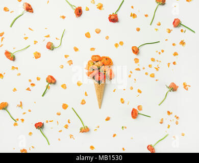 Flachbild-lay von Waffeln süß Kegel mit orange buttercup Blumen auf weißem Hintergrund, Ansicht von oben. Im Frühling oder im Sommer zur Stimmung Konzept Stockfoto