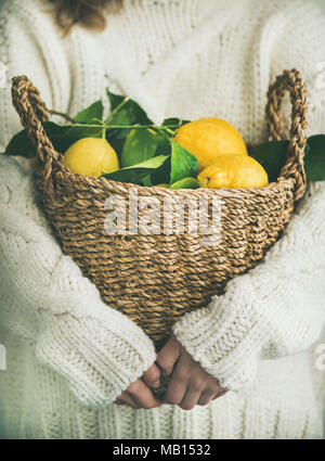 Frau Gärtner in weißer Wollpullover holding Korb mit frisch gepflückten Mediterrane Zitronen. Lokalen und saisonalen organischen Produkten Markt Konzept Stockfoto