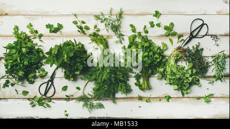 Flachbild-lay von Trauben von verschiedenen frischen grünen Küche Kräuter. Petersilie, Minze, Dill, Koriander, Rosmarin, über weiß Holz- hintergrund Thymian, Ansicht von oben. Autolöscher Stockfoto