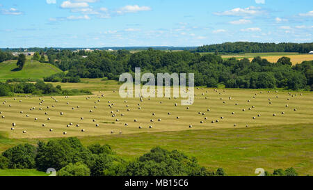 Feld mit Heu von oben rollen Stockfoto