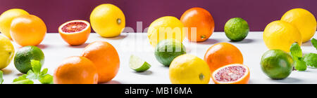 Zitrusfrüchte (Orangen, Zitronen und Limetten) Stockfoto