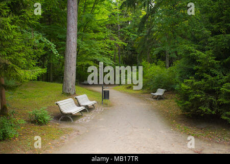 Weg mit Bänken in einem Park von Palanga. Stockfoto