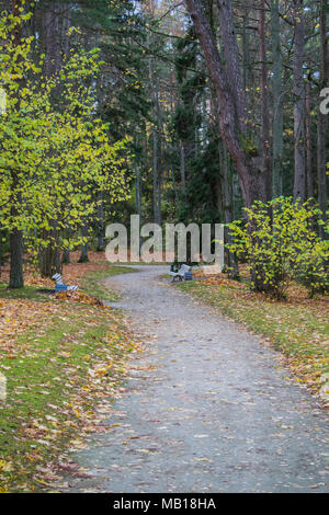 Pfad im Park mit Laub im Herbst in Palanga Stockfoto