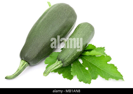 Zwei große Zucchini auf weißem Hintergrund Stockfoto