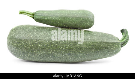 Zwei große Zucchini auf weißem Hintergrund Stockfoto