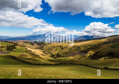 Eiweißpflanzen, die auf den Hängen der Hügel der Ecuadorianischen Sierra und Gewächshäuser im Tal Stockfoto