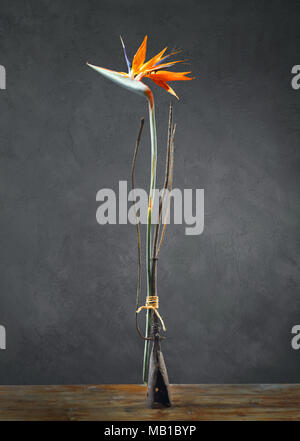 Noch immer leben mit einem orange Blüte der Strelitzia reginae (Bird of paradise) und einem Vintage pitchfork gegen den dunklen Hintergrund Stockfoto