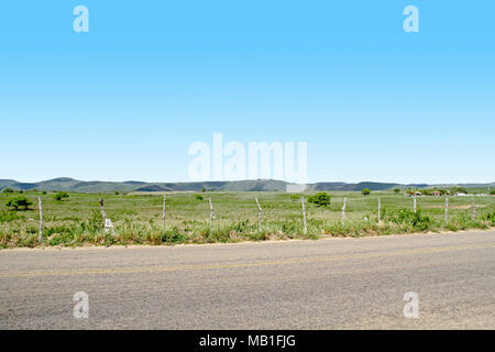 Straße, Belém, Paraíba, Brasilien Stockfoto