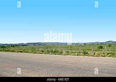 Straße, Belém, Paraíba, Brasilien Stockfoto