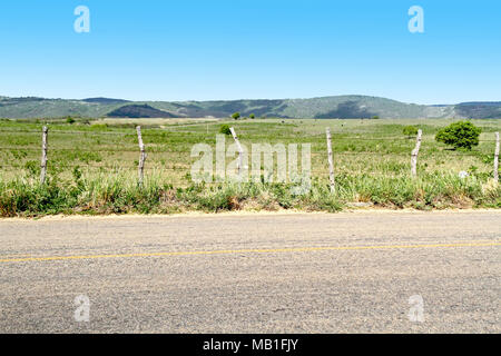 Straße, Belém, Paraíba, Brasilien Stockfoto