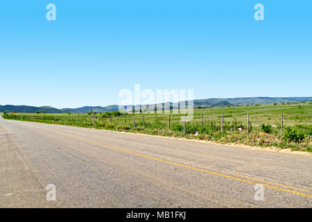 Straße, Belém, Paraíba, Brasilien Stockfoto