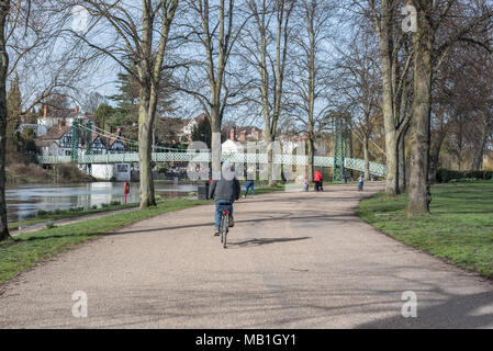 Mann, sein Fahrrad durch den Park in der Grafschaft Stadt Shrewsbury, Shropshire an einem schönen Frühjahr April Nachmittag Stockfoto