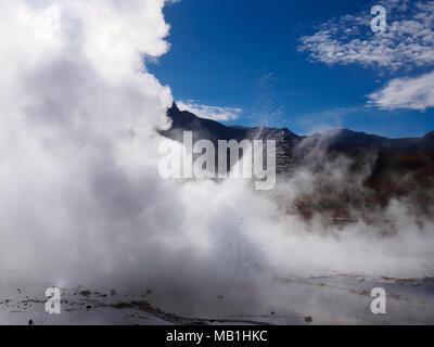 El Tatio Geysire in den Anden, Antofagasta, Chile Stockfoto