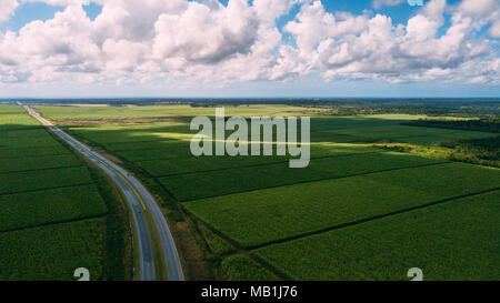 Grüne fiel amd blauen Himmel. Straße in der Mitte Stockfoto