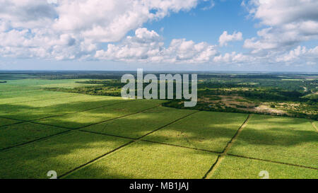 Grüne fiel amd blauen Himmel. Swadow cloud Stockfoto