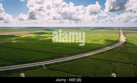 Grüne fiel amd blauen Himmel. Große Schatten auf dem Feld und Straße Stockfoto