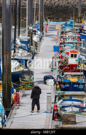 Ein Fischer, stehend auf einem Steg oder Ponton in Newlyn Hafen an der Küste von Cornwall. Fischerboote und Trawler im Hafen von Newlyn Fischereiflotte. Stockfoto