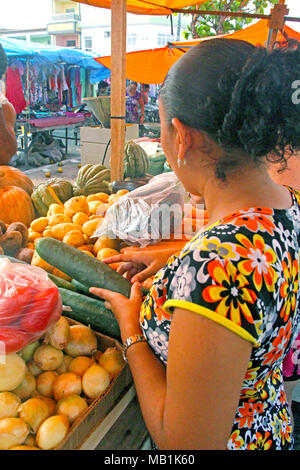 Freier Markt, Belem, Paraíba, Brasilien Stockfoto