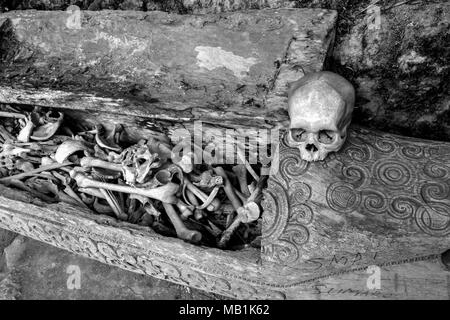 Tana Toraja - Beerdigungen, Gräber, Grabstätten in Höhlen. Menschliche sculls um Grabstätten sind häufig. Südsulawesi, Indonesien. Stockfoto