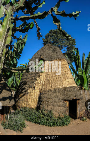 Architektonische Stil ist in der afrikanische Hütte der Dorze ethnische Gruppe in die chencha Dorf im Guge Berge in Chencha, Äthiopien zeigte. Stockfoto