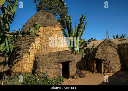 Architektonische Stil ist in der afrikanische Hütte der Dorze ethnische Gruppe in die chencha Dorf im Guge Berge in Chencha, Äthiopien zeigte. Stockfoto