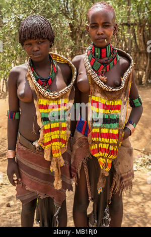 Turmi, Äthiopien - Januar 25, 2018: Unbekannter Hamer Stamm Frau. Hamer Frau Kamm in der Regel ihre Haare mit Boden in Turmi, Omo Valley, Äthiopien. Stockfoto