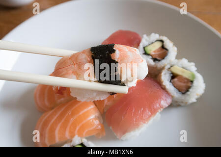 Frische Garnelen nigiri Sushi zwischen Stäbchen mit Lachs nigiri, Lachs und Avocado uramaki und Thunfisch nigiri im Hintergrund Stockfoto