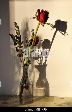 Rote Rose im Glas Flasche Stockfoto