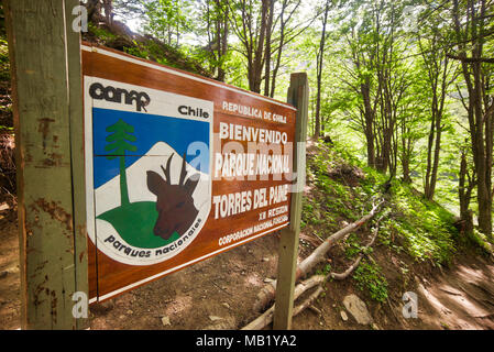 Wanderweg im ascencio River Valley, Patagonien, Chile. Stockfoto