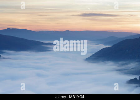 Blick über die Wolken sich tief im Tal durch die temperaturinversion, Fluss Drina, Tara Nationalpark, Serbien, Oktober Stockfoto