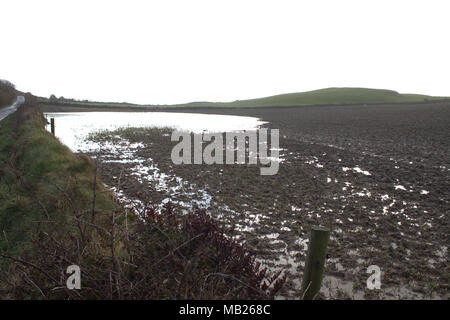 Castlehaven, West Cork, Irland. 6. April 2018. Streifen der Rinder der Felder in ein Meer von Schlamm durchgeschüttelt haben, die ständiger Regen wurde der Boden gesättigt, wodurch konstante Oberflächenwasser die Felder zu überfluten. Credit: aphperspective/Alamy leben Nachrichten Stockfoto