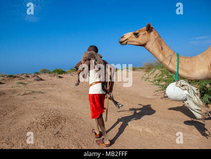 Ein somalischer Mann hält ein Neugeborenes Baby Camel auf seinem Rücken, Region Awdal Lughaya, Somaliland Stockfoto