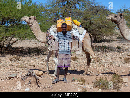 Ein somalischer Mann Transportieren von Wasser im gelben Behälter durch die Wüste, auf dem Kamel zurück, Region Awdal Zeila, Somaliland Stockfoto